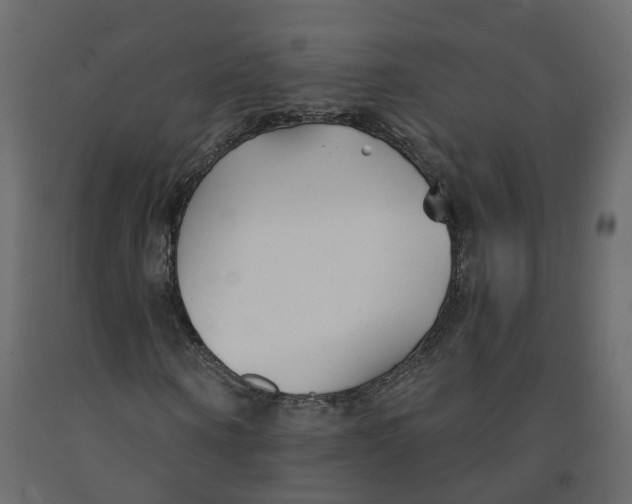 X0000091990866200710041128