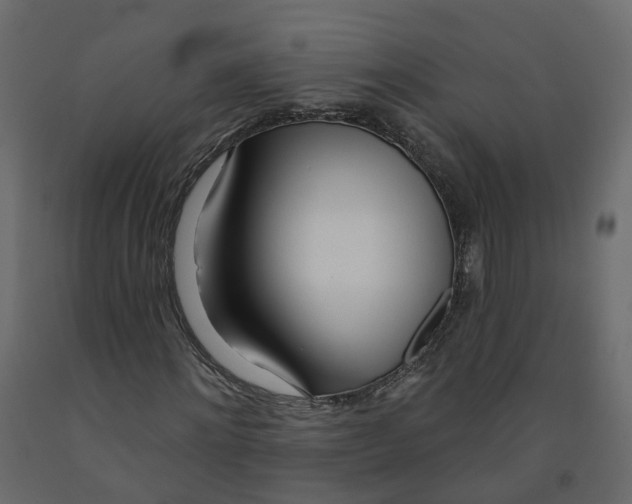 X0000091990868200710041128