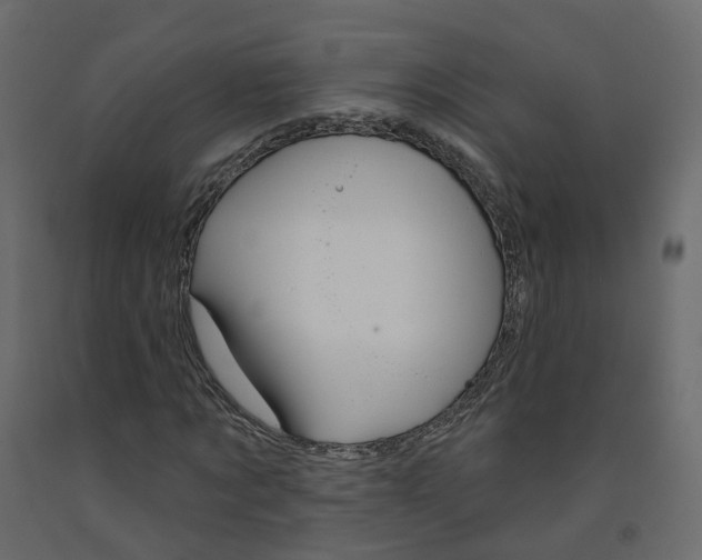 X0000091990869200710041128