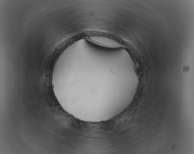 X0000091990870200710041128