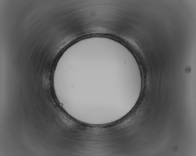 X0000091990873200710041128