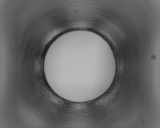 X0000091990874200710041128