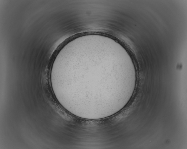 X0000091990875200710041128