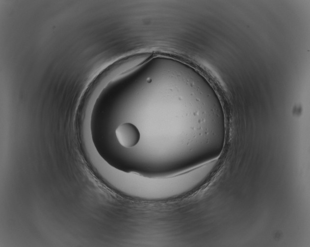 X0000091990876200710041128