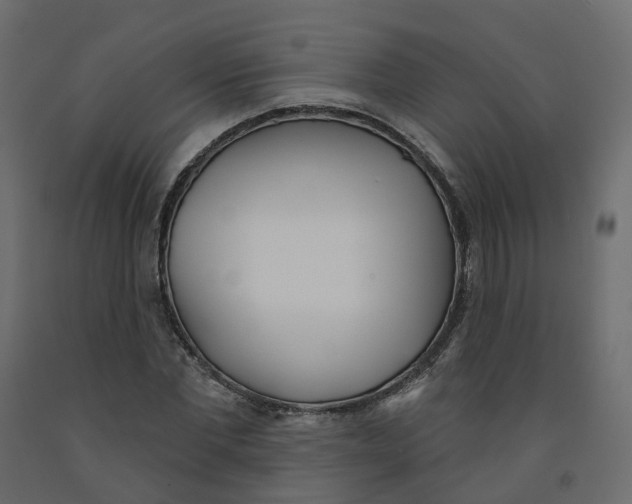 X0000091990877200710041128