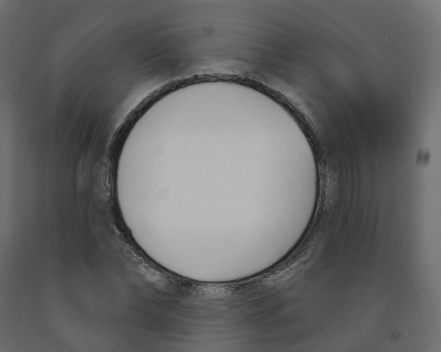 X0000091990878200710041128