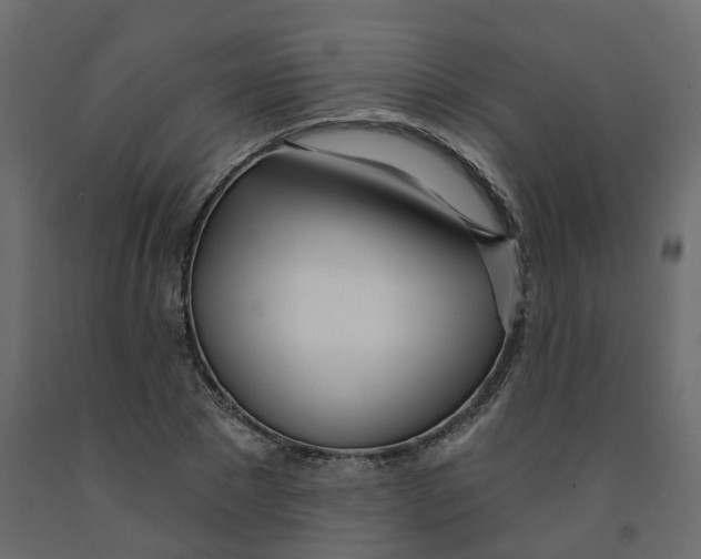 X0000091990881200710041128
