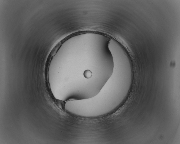 X0000091990884200710041128