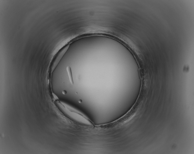 X0000091990885200710041128