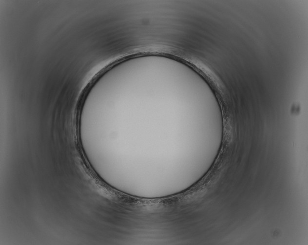 X0000091990886200710041128
