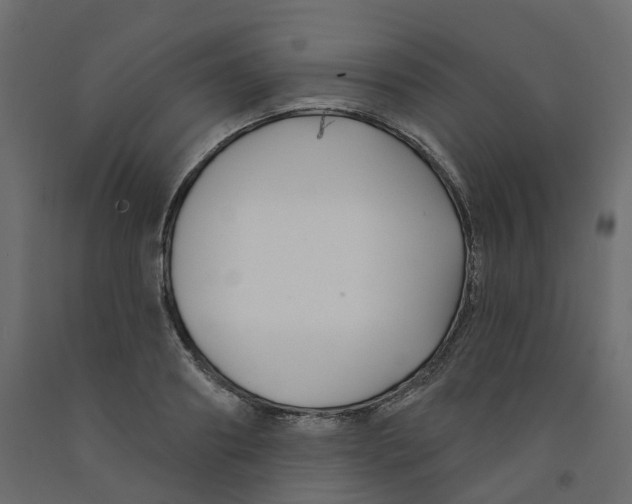 X0000091990890200710041128