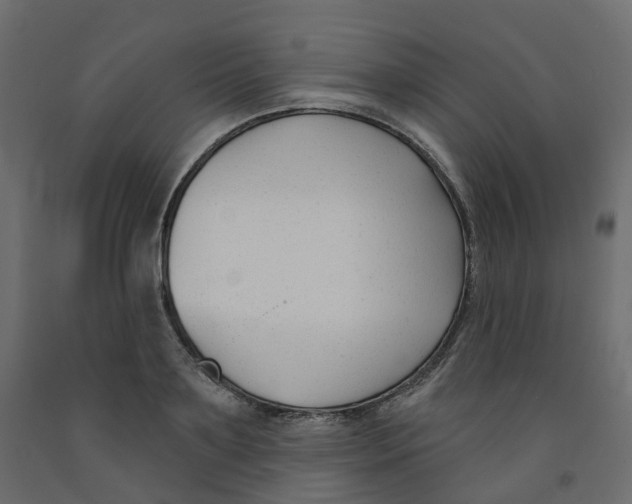 X0000091990891200710041128