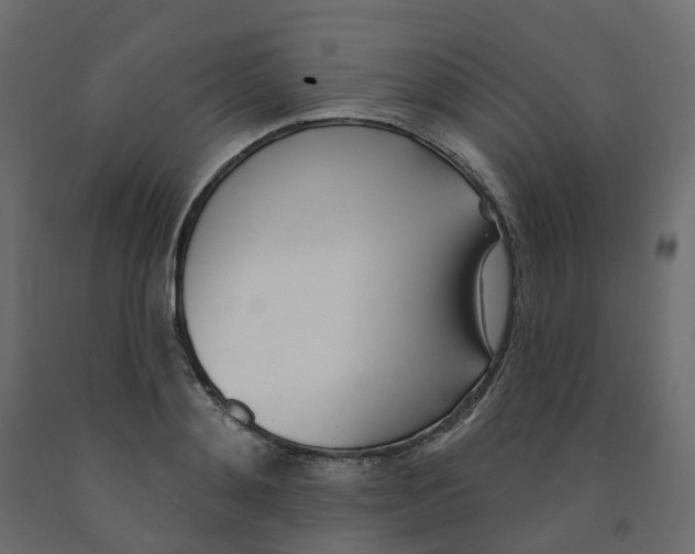 X0000091990892200710041128