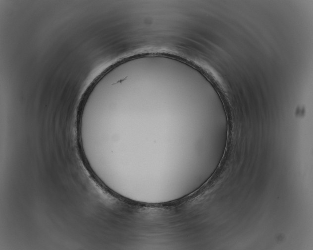 X0000091990894200710041127
