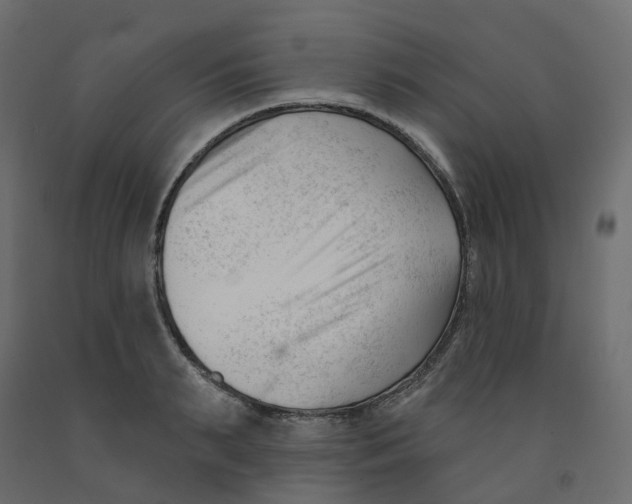 X0000091990895200710041127