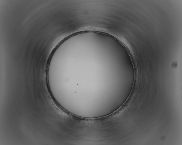 X0000091990896200710041127