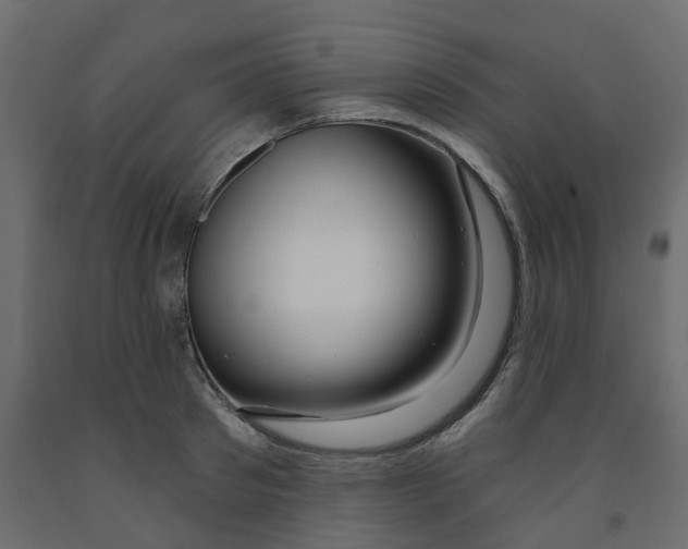 X0000091990897200710041127