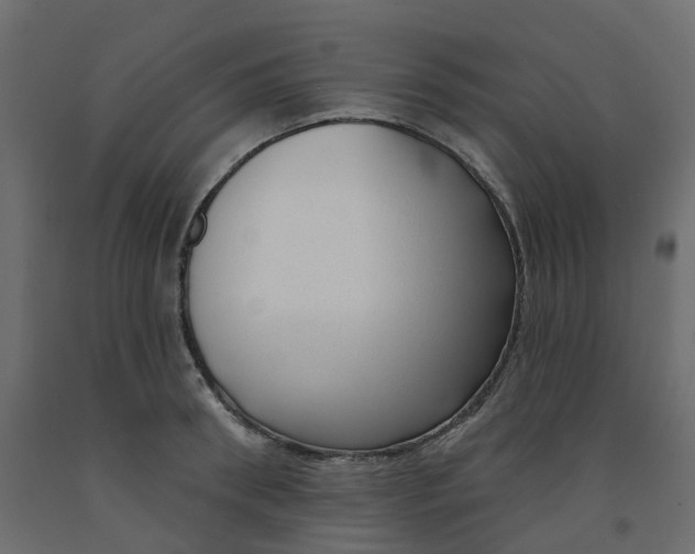 X0000091990898200710041127
