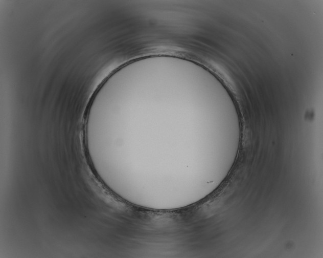 X0000091990899200710041127