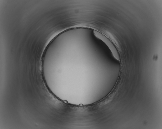 X0000091990900200710041127