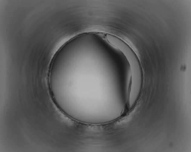 X0000091990901200710041127