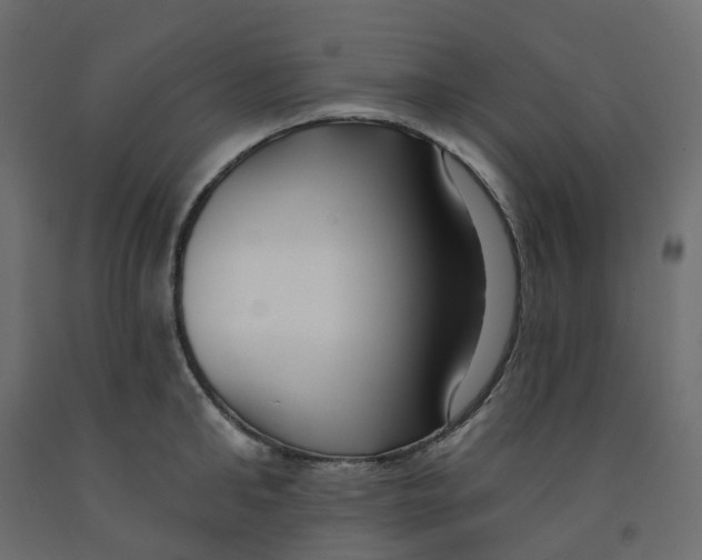 X0000091990902200710041127