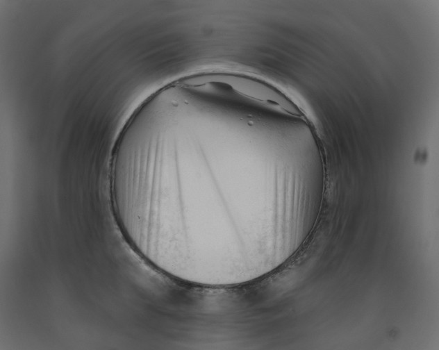 X0000091990903200710041127