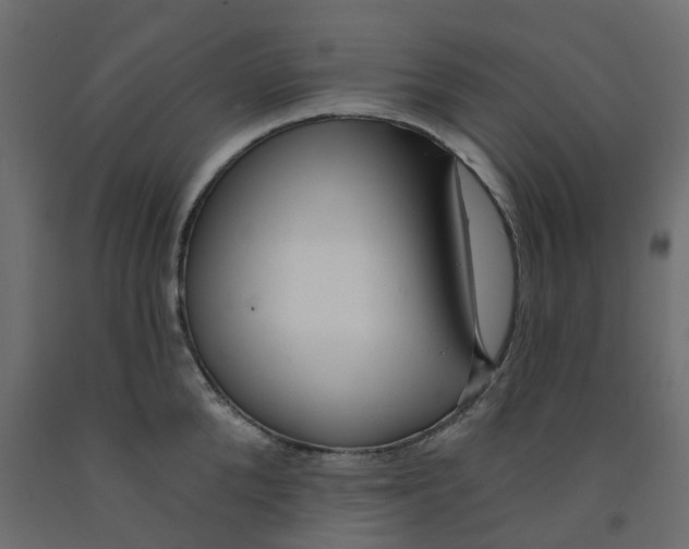 X0000091990904200710041127