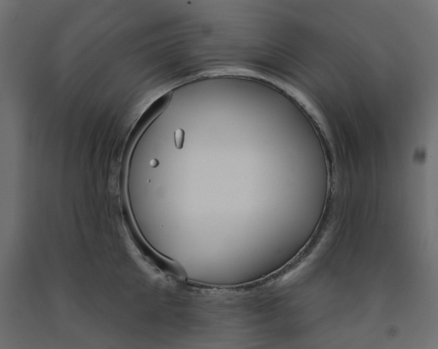 X0000091990905200710041127
