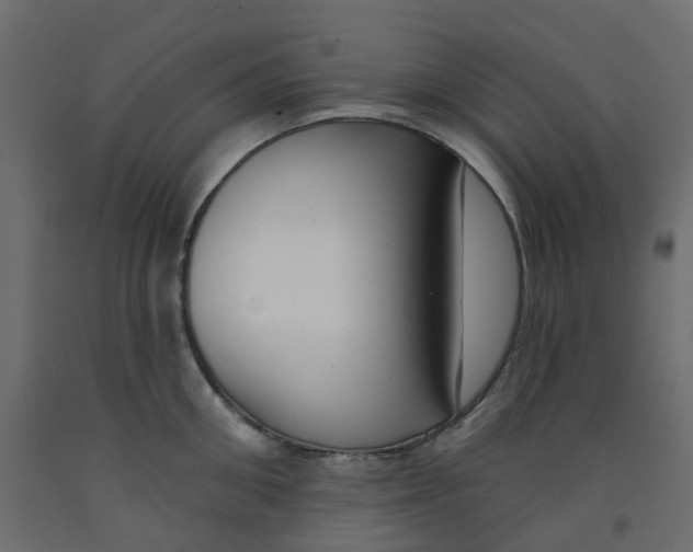 X0000091990906200710041127