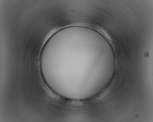X0000091990907200710041127