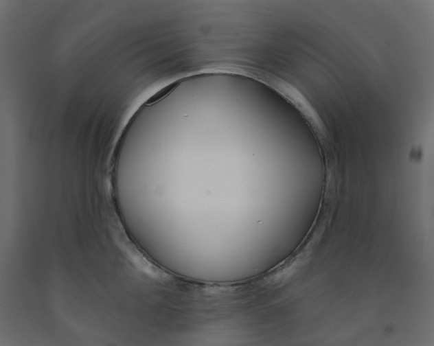 X0000091990908200710041127