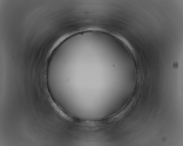 X0000091990910200710041127