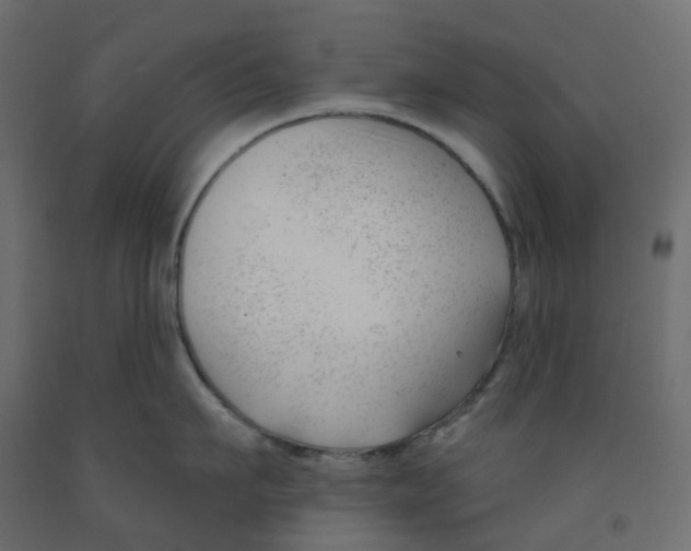 X0000091990911200710041127