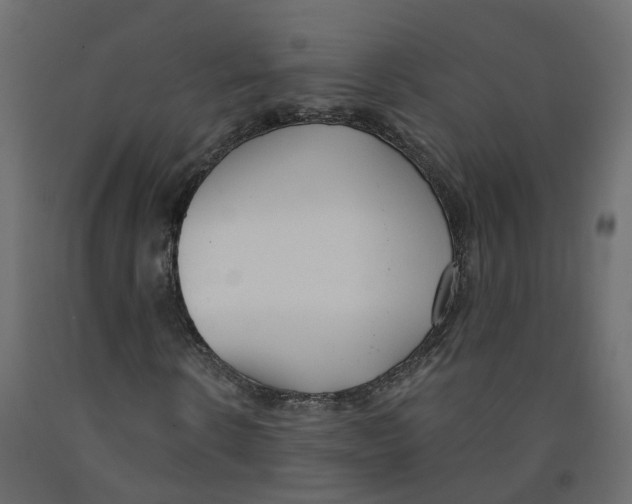 X0000091990914200710041127