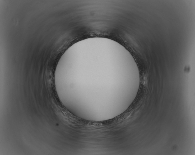 X0000091990915200710041127