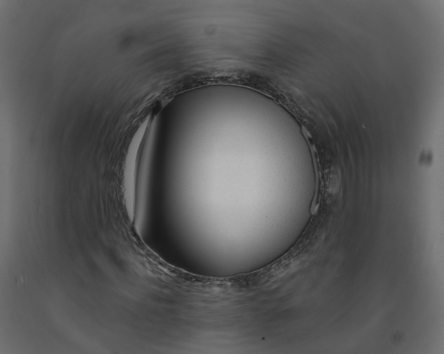 X0000091990916200710041127