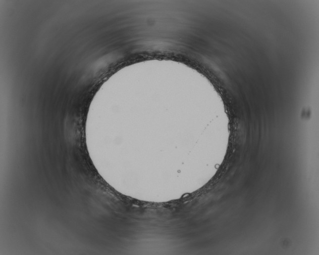 X0000091990918200710041127