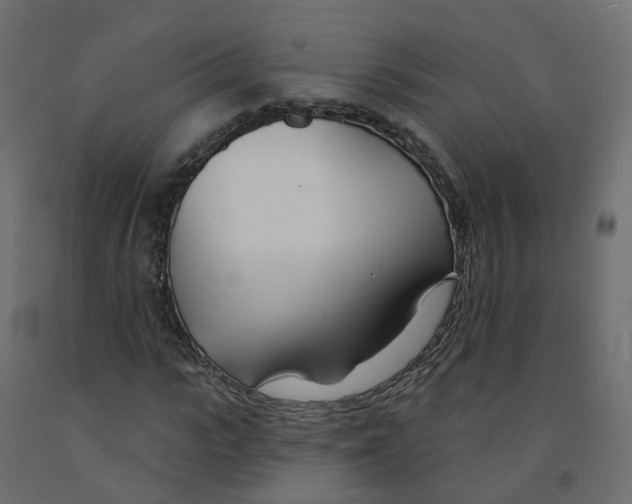 X0000091990919200710041127