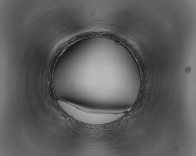 X0000091990920200710041127