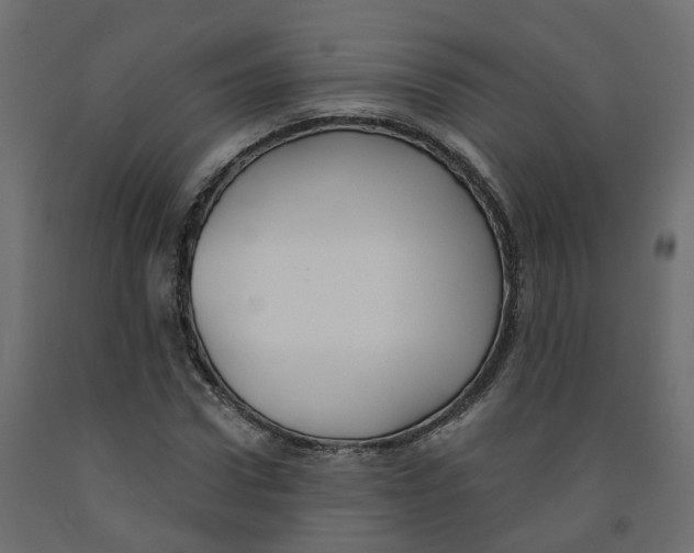 X0000091990922200710041127