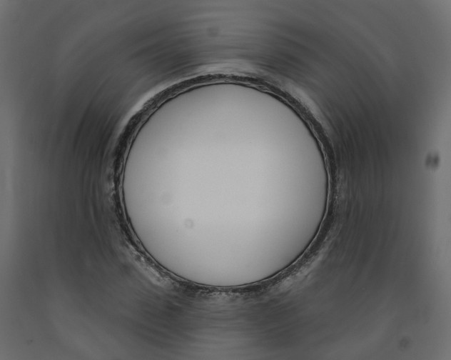 X0000091990923200710041127