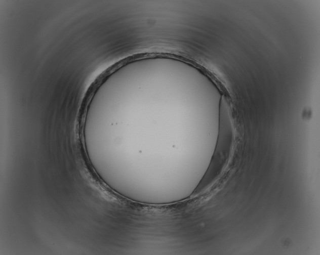 X0000091990928200710041127