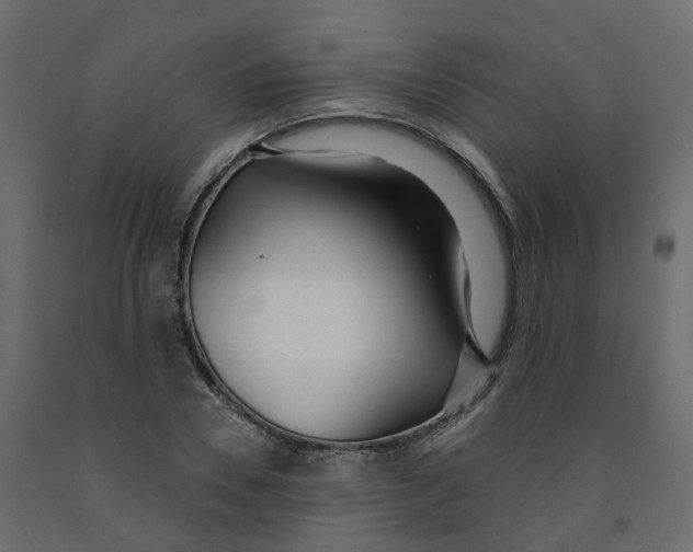 X0000091990930200710041127