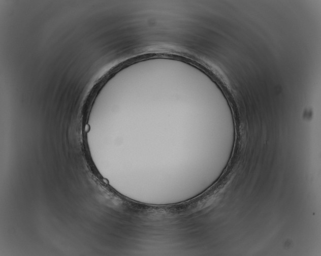 X0000091990931200710041127