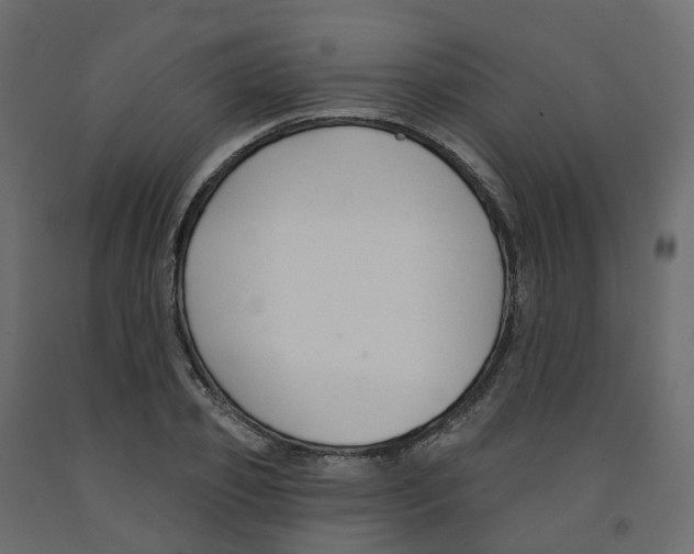 X0000091990933200710041127