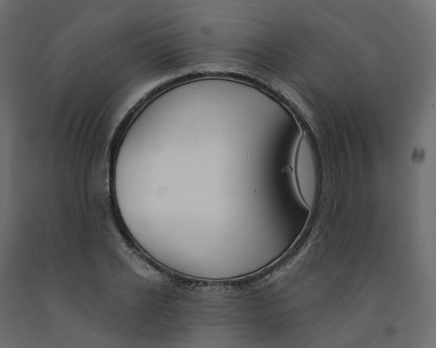 X0000091990934200710041127