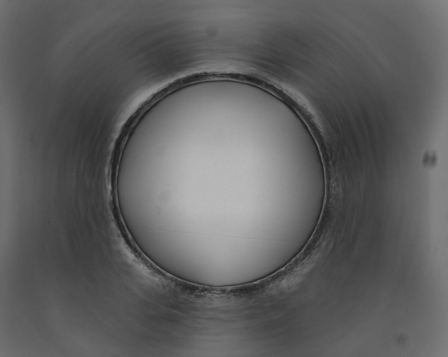 X0000091990935200710041127