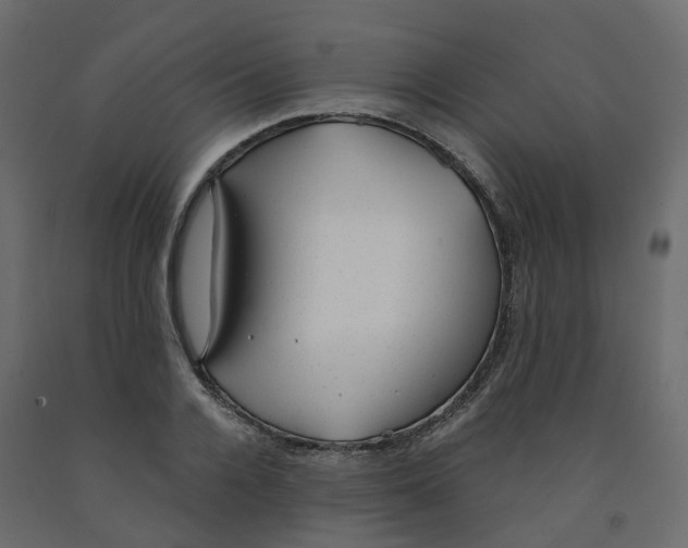 X0000091990936200710041127