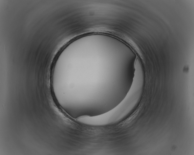 X0000091990939200710041127